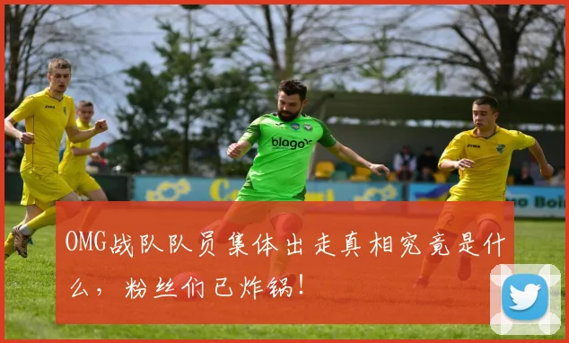 OMG战队队员集体出走真相究竟是什么,粉丝们已炸锅!