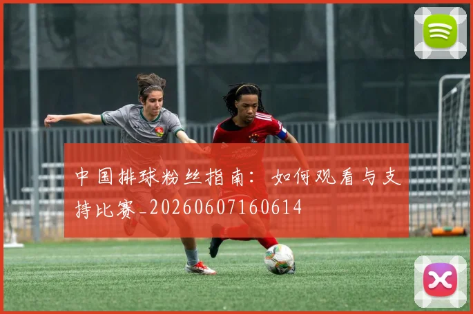 中国排球粉丝指南：如何观看与支持比赛_20260607160614